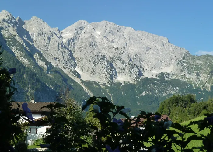 Pension Schoene Aussicht Gæstehus