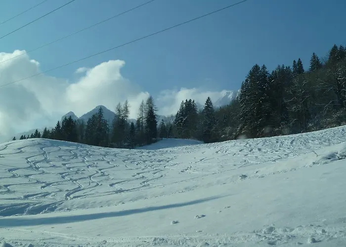 Pension Schoene Aussicht