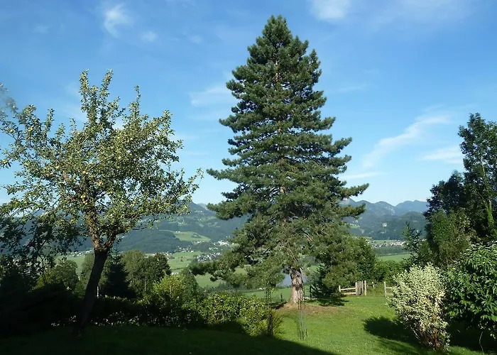 Gæstehus Pension Schoene Aussicht 4*
