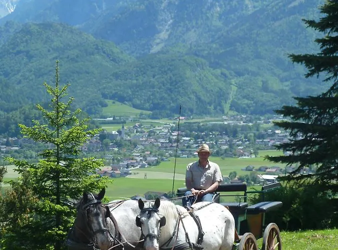 Pension Schoene Aussicht 4* Kuchl